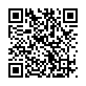 To view this 2015 CHEVROLET SILVERADO 1500 Sioux City IA from Ideal Wheels, please scan this QR code with your smartphone or tablet to view the mobile version of this page.